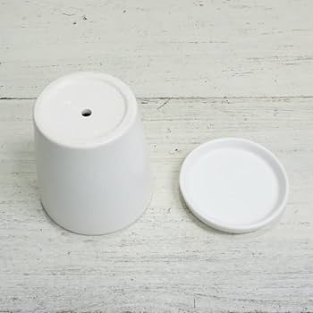 Amazon.co.jp: 植木鉢 おしゃれ 陶器鉢 オストラウンドS＜ 11cm